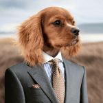 What Is Secrets of The Big Dogs?