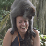 Social Monkee Feature Image
