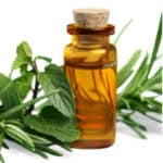 Is doTERRA a Pyramid Scheme?
