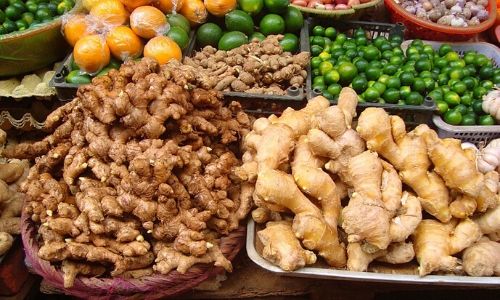 Ginger small condensed Ginger small condensed